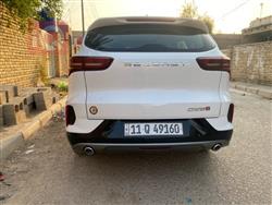 ساوايست DX8S